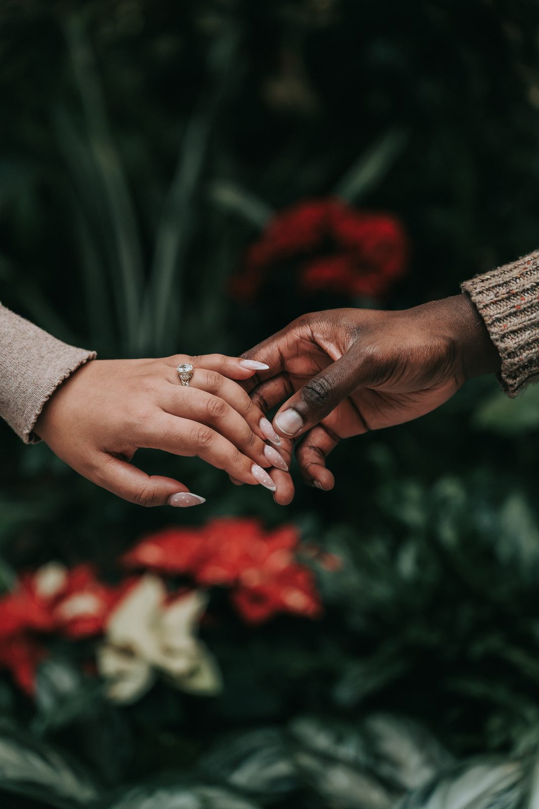 Close-up of a couple's hands touching, engagement ring visible, red flowers behind