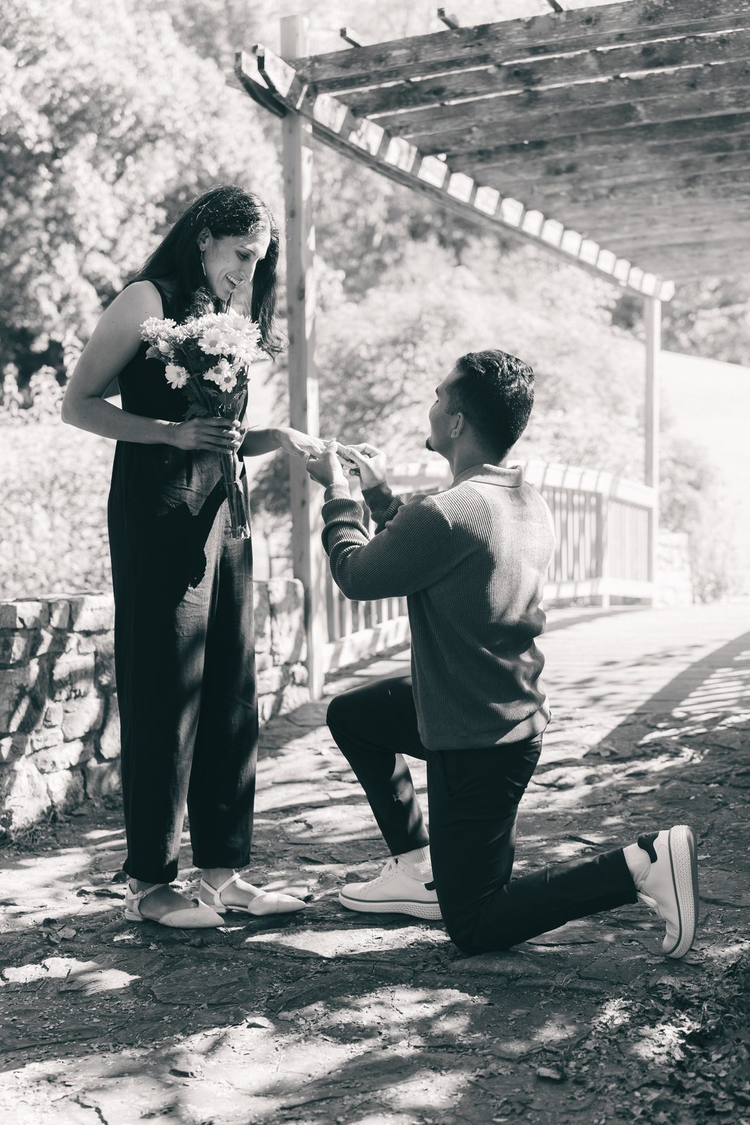Black and white photo of a proposal under a wooden pergola, him on one knee